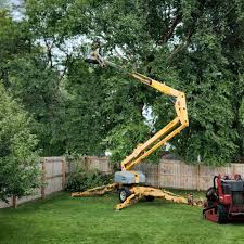 Best Lawn Drainage Solutions  in Audubon Park, KY