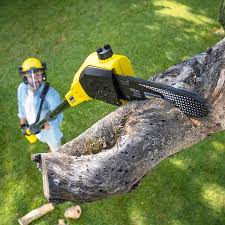  Audubon Park, KY Tree Services Pros