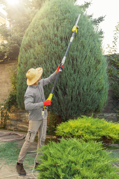 Best Arborist Consultation Services  in Audubon Park, KY